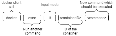 Docker Execute Command